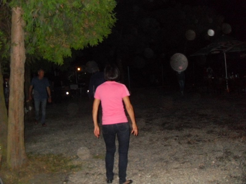 SDC10217