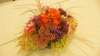 dsc05507_small.jpg