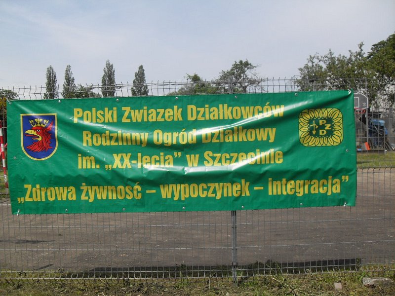 SDC10027-1