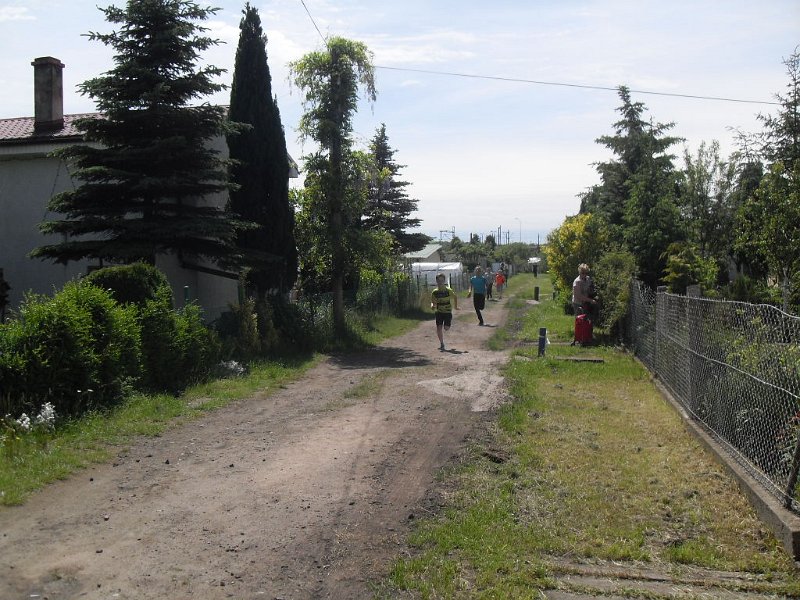 SDC10050