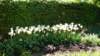 dsc05029_small.jpg