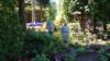 dsc05033_small.jpg