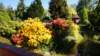 dsc05036_small.jpg