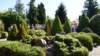 dsc05039_small.jpg