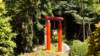 dsc05040_small.jpg