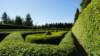 dsc05055_small.jpg