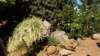 dsc05071_small.jpg