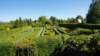 dsc05072_small.jpg