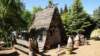 dsc05078_small.jpg