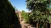dsc05081_small.jpg