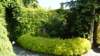 dsc05112_small.jpg