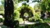 dsc05114_small.jpg