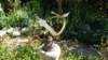 dsc05118_small.jpg