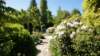 dsc05119_small.jpg