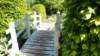 dsc05120_small.jpg