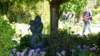 dsc05121_small.jpg