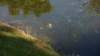 dsc05129_small.jpg