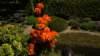 dsc05132_small.jpg