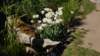 dsc05135_small.jpg