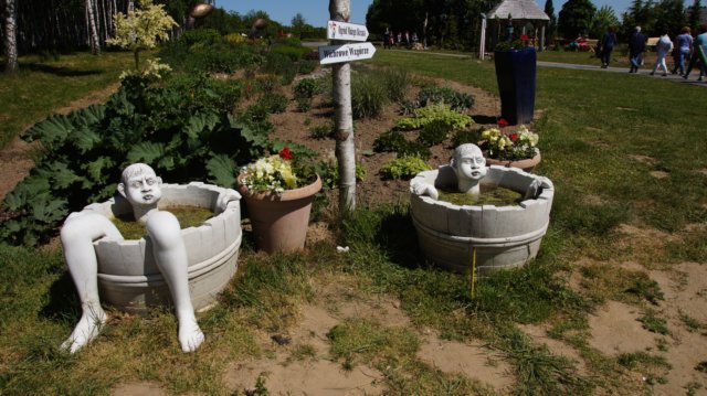 dsc05152.jpg
