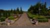 dsc05168_small.jpg
