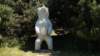 dsc05173_small.jpg