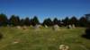 dsc05179_small.jpg
