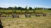 dsc05185_small.jpg